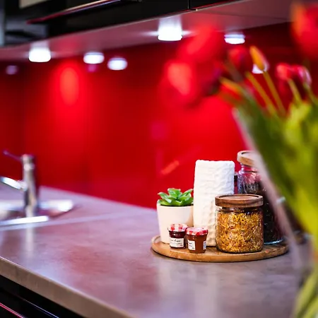 Rimini Moxy Te&am Cracow 아파트 크라쿠프